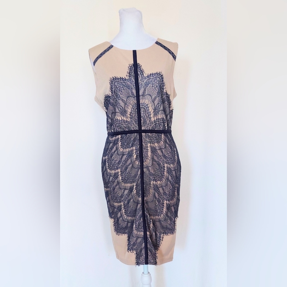 London Dress Company Navy Lace Shift Dress Size Size 10 Beige Blue NWT